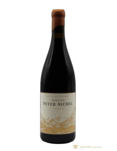 Roussillon, Peter Sichel, Vallée de Cucugnan, 2021