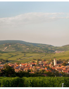 Alsace, Alsace Muscat, Domaine Valentin Zusslin, Muscat Cuvée Marie, 2019 2