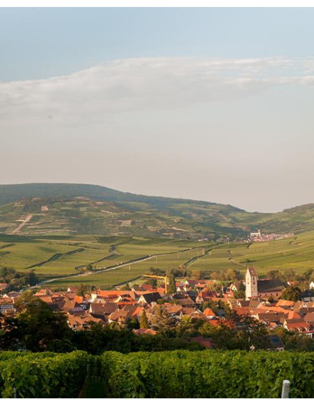 Alsace, Alsace Muscat, Domaine Valentin Zusslin, Muscat Cuvée Marie, 2019