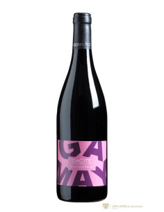 Vallée de la Loire, Côtes du Forez, Domaine de la Madone, Dacite, 2022