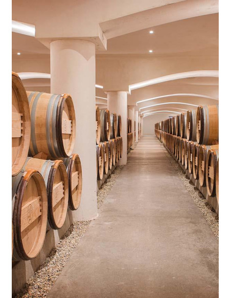 Vente en ligne Haut-Médoc vin |Château La Lagune