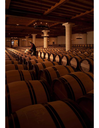 Bordeaux, Pessac-Léognan, Château Haut-Brion, 2001, Demi-bouteille