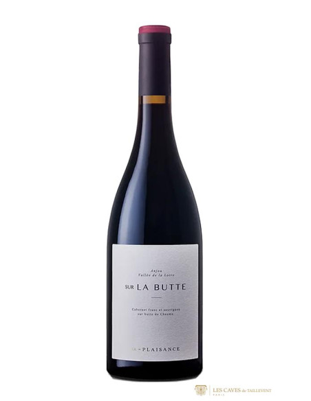 Anjou, Ronceray, Château de Plaisance, Sur la Butte, 2021