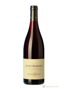 Bourgogne, Auxey-Duresses, Domaine Lafouge, 2020