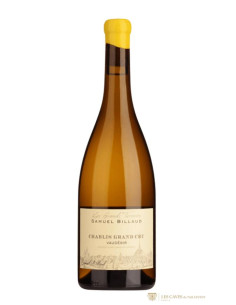 Bourgogne, Chablis 1er Cru, Domaine Samuel Billaud, Vaudésir, 2020