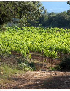 Provence, Côteaux d’Aix-en-Provence, Château Revelette, Collection Taillevent, 2021, Rosé