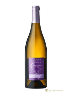 Jura, AOC Côtes-du-Jura, Champ Divin, Castor, 2022, Blanc