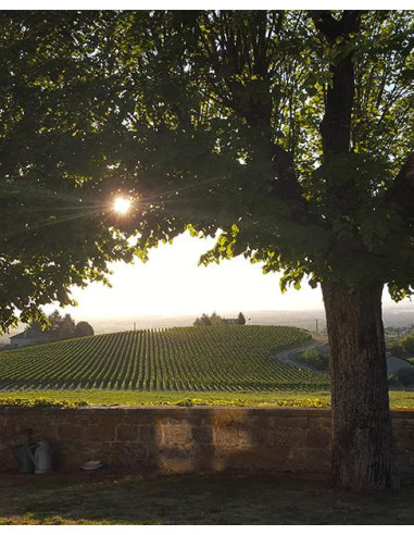 Domaine Sérol | Vente en ligne | Vin rouge Eclat de Granite