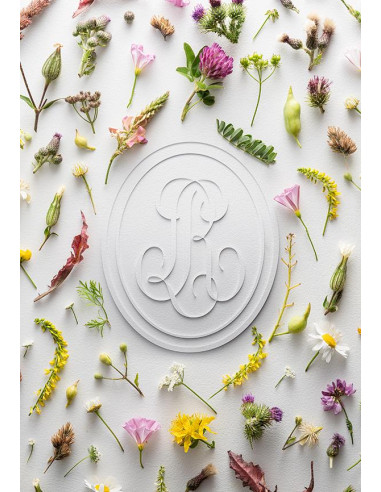 Champagne, Louis Roederer, Collection 244, N.M