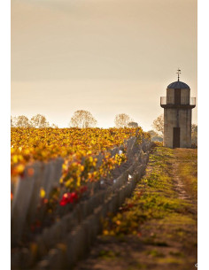 Bordeaux, Pauillac 2nd Cru Classé, Château Pichon Longueville Baron, 2004, Magnum 2