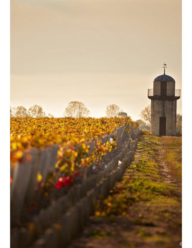 Pauillac, Château Pichon Longueville Baron, 2004