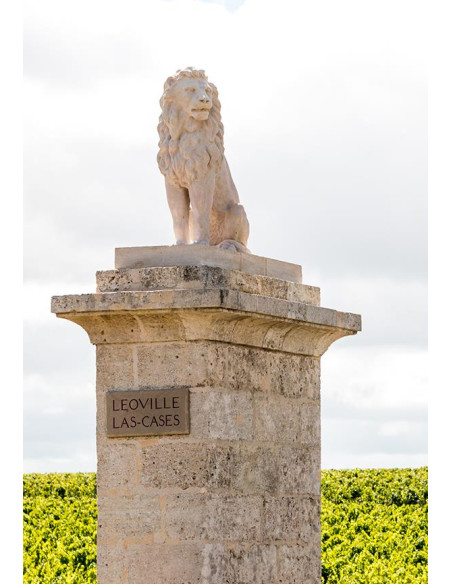 Bordeaux, Saint-Julien 2nd cru classé, Château Léoville Las Cases, 2007