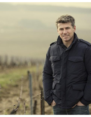 Bourgogne, Chablis 1er Cru, Domaine Louis Michel, Montée de Tonnerre, 2020