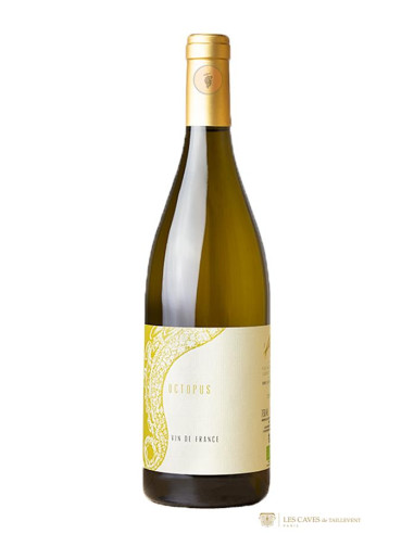 Val de Loire, Domaine de lAustral, Plein Nord, 2022