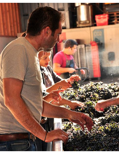 Vallée de la Loire, IGP Côte Roannaise, Domaine Sérol, Chez Muron, 2022