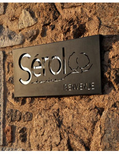 Vallée de la Loire, IGP Côte Roannaise, Domaine Sérol, Chez Coste, 2022 2