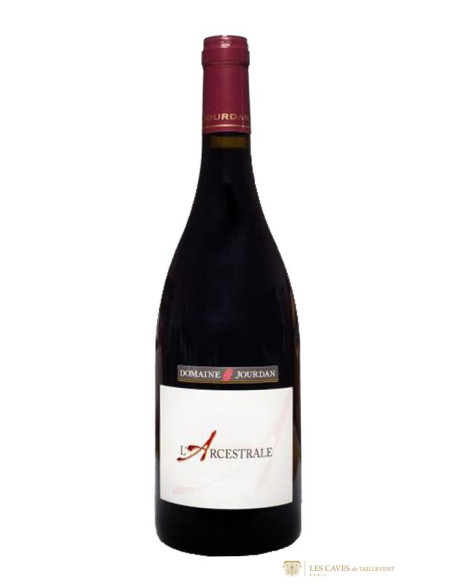 Vallée de la Loire, Chinon, Domaine Jourdan, l’Ancestrale, 2017, Rouge