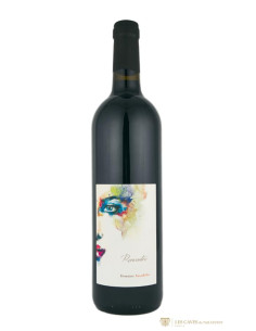 Bourgueil, Domaine Ansodelles, Rencontre, 2020