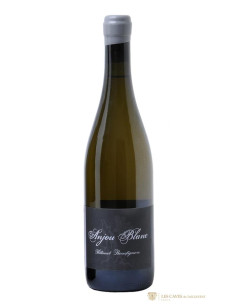 Thibaud Boudignon Anjou 2022 - Les Caves de Taillevent