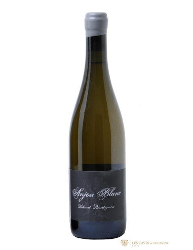 Thibaud Boudignon Anjou 2022 - Les Caves de Taillevent