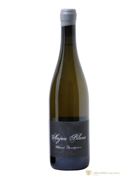 Thibaud Boudignon Anjou 2022 - Les Caves de Taillevent