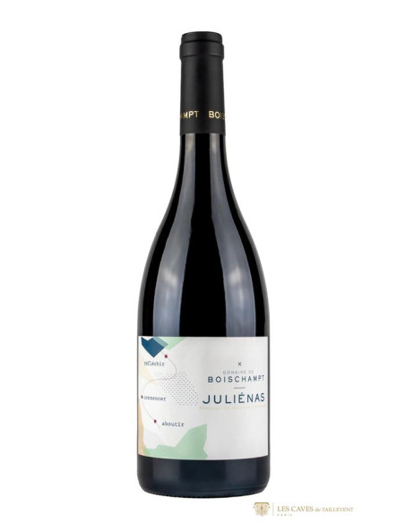 Bourgogne, Juliénas, Domaine de Boischampt, 2022