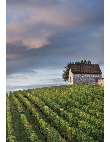 Bourgogne, Clos des Lambrays, Domaines des Lambrays, 2014