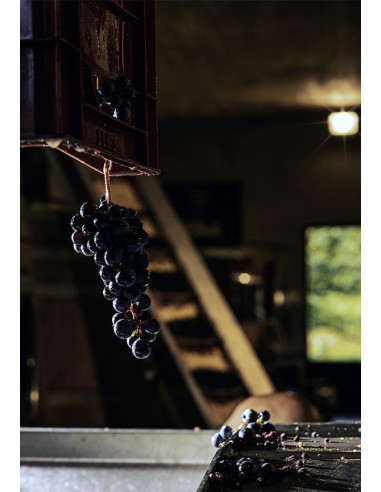 Bordeaux, Castillon-Côtes de Bordeaux, Domaine de l'A, 2011, Magnum