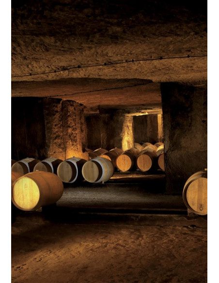 Bordeaux, Saint-Emilion, Clos Fourtet, 2011