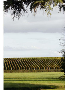 Bordeaux, Saint-Estèphe,... 2