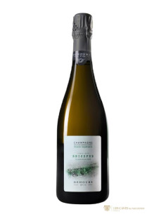 Champagne, Dehours et Fils, Brisefer, N.M, Magnum