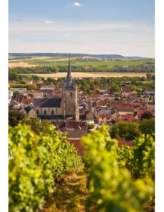 Deutz Amour de Deutz 2011 - Les Caves de Taillevent 2