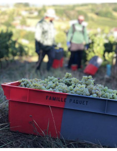 Bourgogne, Saint-Véran, Domaine Famille Paquet, Les Cras, 2020 2