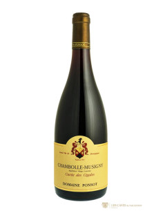 Chambolle-Musigny, Ponsot, Cigales, 2013