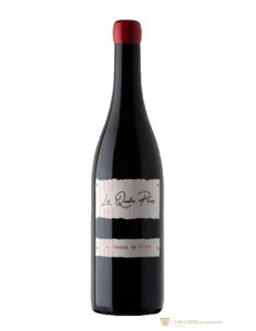 Vallée de la Loire, Touraine, Domaine des Quatre-Piliers, Au-dessus de Vitré, 2020
