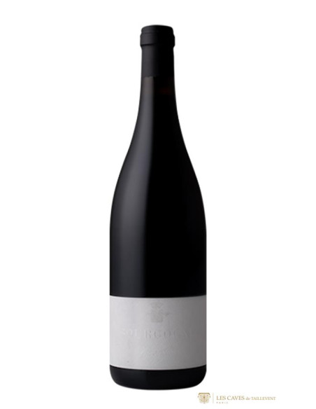 Bourgogne, Bourgogne Pinot Noir, Domaine Trapet, 2022
