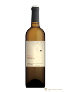 Sud-Ouest, Jurançon, Domaine Castéra, XXIII, 2023, Blanc