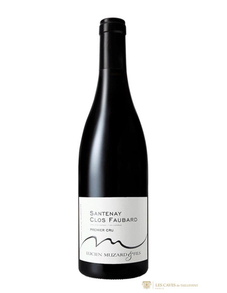Bourgogne, Santenay Premier Cru, Lucien Muzard et Fils, Clos Faubard, 2013