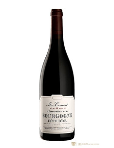 Bourgogne, Bourgogne Côte d’Or, Méo-Camuzet Frère et Sœurs, Etienne Camuzet, 2020
