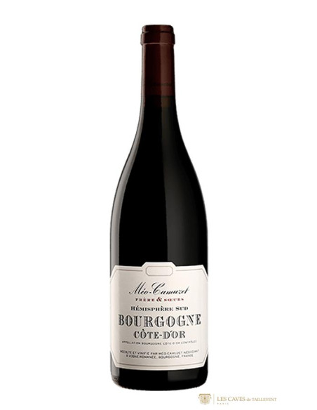 Bourgogne, Bourgogne Côte d’Or, Méo-Camuzet Frère et Sœurs, Etienne Camuzet, 2020