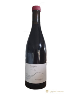 Vallée de la Loire, Vin de France, Sylvain Boton, Enraciné, 2023