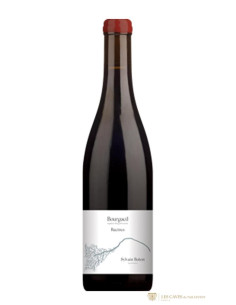 Vallée de la Loire, Vin de France, Sylvain Boton, Racines, 2023