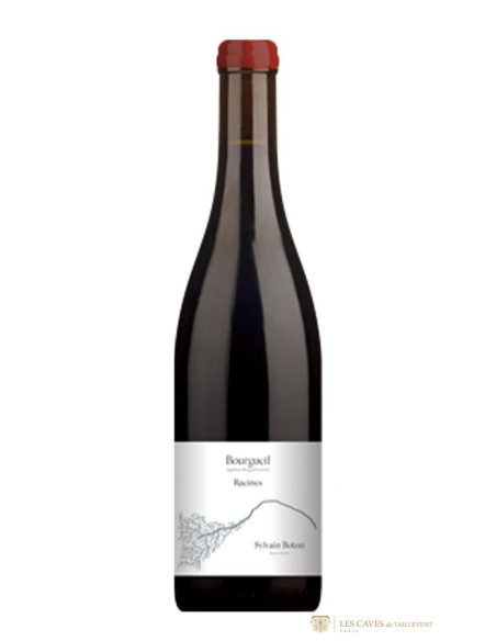 Vallée de la Loire, Vin de France, Sylvain Boton, Racines, 2023