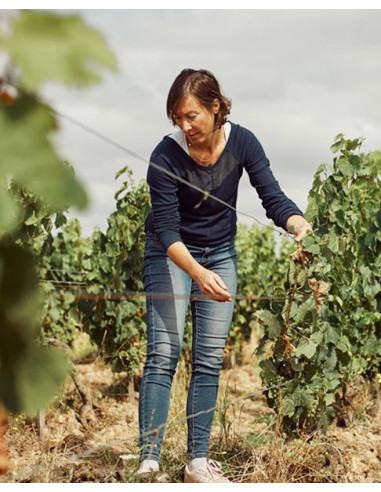 Vallée de la Loire, Vin de France, Domaine de la Grange Tiphaine, L’Équilibriste, 2022