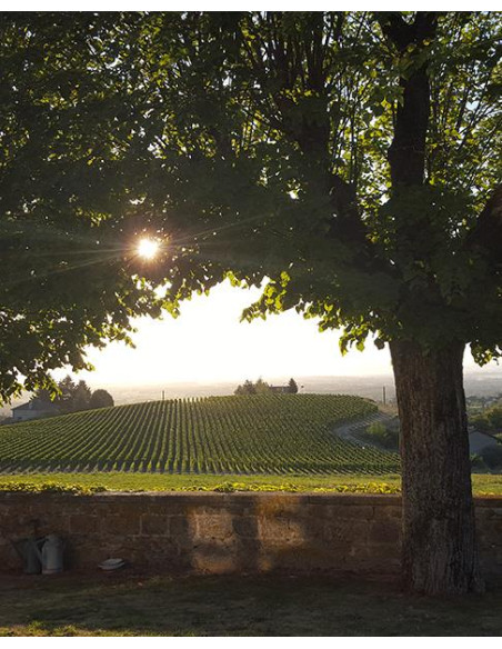 Vallée de la Loire, IGP Côte Roannaise, Domaine Sérol, Perdrizière, 2023