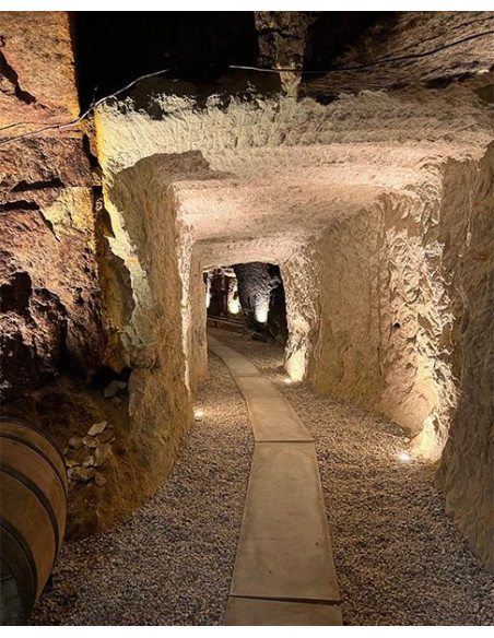 Vallée de la Loire, Saumur-Champigny, Domaine des Closiers, Les Closiers, 2022