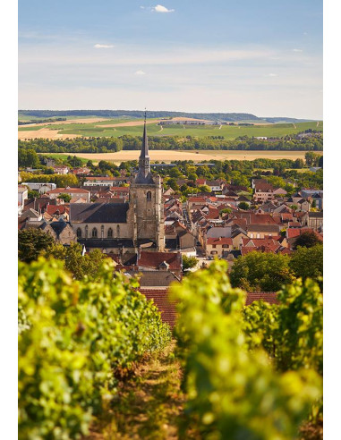 Champagne, Deutz, Blanc de Blancs, 2013