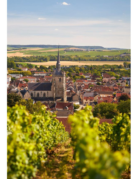 Champagne, Deutz, Blanc de Blancs, 2013