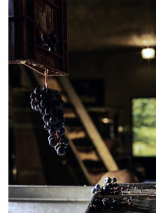 Bordeaux, Castillon-Côtes de Bordeaux, Domaine de l’A, 2014 2