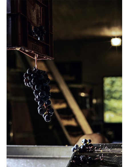 Bordeaux, Castillon-Côtes de Bordeaux, Domaine de l’A, 2014